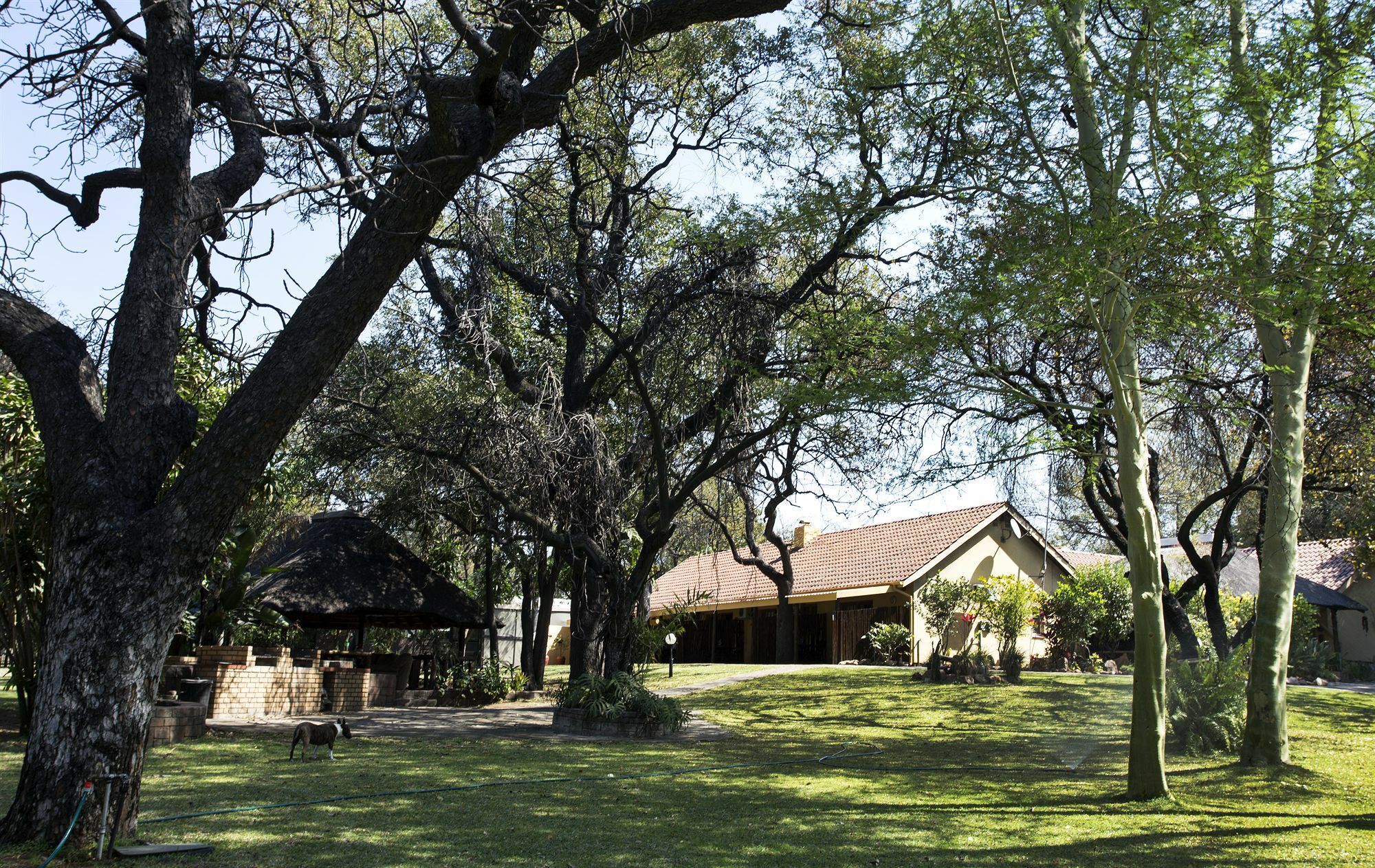 Sunbird Lodge Пгалаборва Екстер'єр фото
